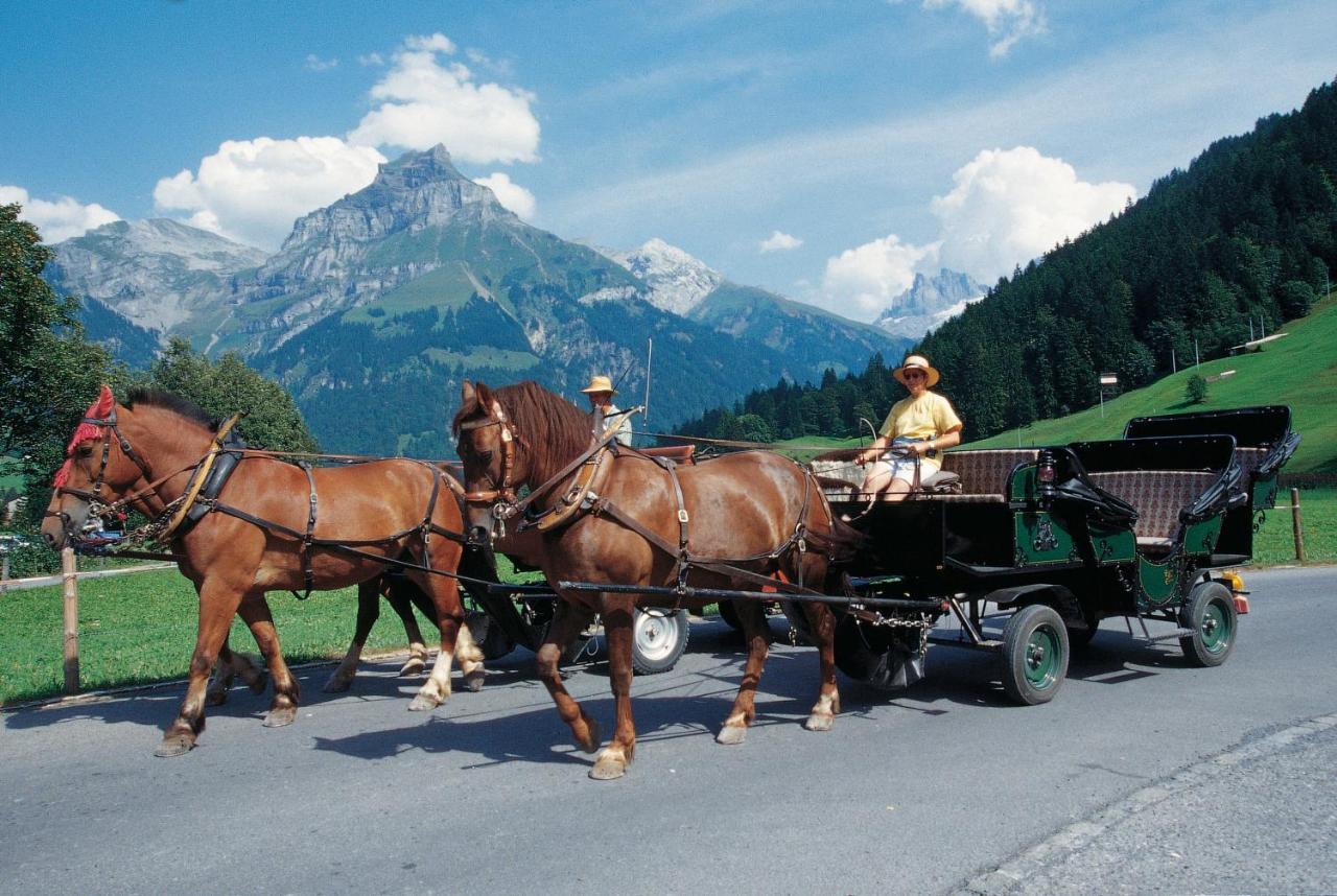 Next To Titlis Station *